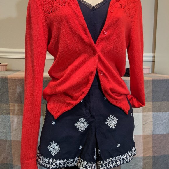 Blue Embroidered Shorts - Picture 4 of 7